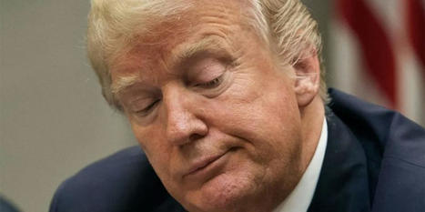 New evidence 'overwhelming' in DOJ's Trump Mar-a-Lago docs case: former US attorney -  | Backstabber Watch | Scoop.it