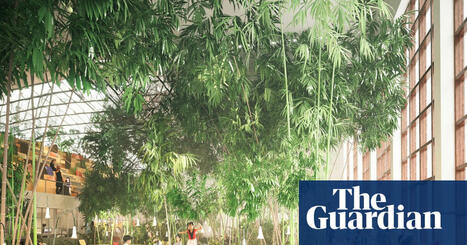 ‘It feels cool to be a cog in change’: how doughnut economics is reshaping a Swedish town | Environment | The Guardian | Energy Transition in Europe | www.energy-cities.eu | Scoop.it