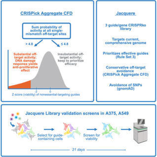 Balancing off-target and on-target considerations for optimized CRISPR-Cas9 knockout library design | cgen | RMH | Scoop.it