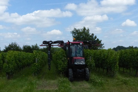 Viticulture : le nouvel arrêté encadrant les traitements phytosanitaires est paru | Prévention du risque chimique | Scoop.it