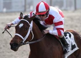 Havre de Grace re-routed from Apple Blossom to Churchill's La Troienne | Daily Racing Form | Racing News | Scoop.it