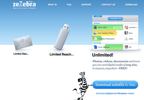 www.zezebra.com | zeZebra - Where size doesn't matter! | Digital Delights - Images & Design | Scoop.it