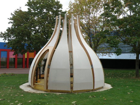 "Dehiscence" by Fran&ccedil;ois Fr&eacute;chet | Art Installations, Sculpture, Contemporary Art | Scoop.it