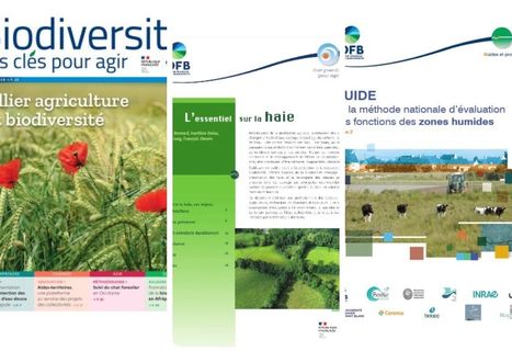 Les nouveautés des éditions scientifiques et techniques de l'Office français de la biodiversité - Avril 2024 | Biodiversité | Scoop.it