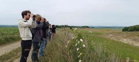&Eacute;cole r&eacute;gionale d'ornithologie 2026 - ARB | Environnement - &Eacute;nergie | Scoop.it