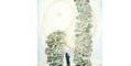 Welcome to the next major global tax haven - Gulf Times | Operation Deimos | Scoop.it