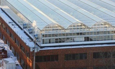 Il faut conquérir nos toits ! | Build Green, pour un habitat écologique | Scoop.it