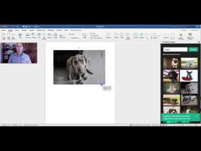 Pixabay Add-in for Word - A Quick Way to Add Images to Documents | Moodle and Web 2.0 | Scoop.it