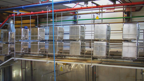 Cómo se fabrica un lavavajillas, Fabricando. Made in Spain - RTVE.es A la Carta | tecno4 | Scoop.it