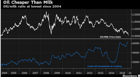 Aux Etats-Unis, le pétrole moins cher que le lait | Lait de Normandie... et d'ailleurs | Scoop.it
