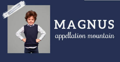 Baby Name Magnus: Larger than Life | Name News | Scoop.it