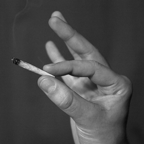 Recreational Marijuana Bill Filed In Florida Senate | Beckley News : Cannabis - Marijuana | Scoop.it