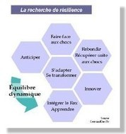La résilience, un outil pour les territoires ? | Economie Responsable et Consommation Collaborative | Scoop.it