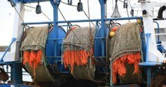 Eaux anglaises : faudra-t-il revoir les quotas de pêche et les droits de douane ? - Économie - Le Télégramme | HALIEUTIQUE MER ET LITTORAL | Scoop.it