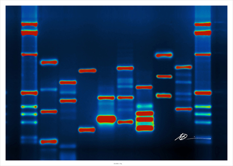 Microsoft is buying tiny strands of DNA to store big data | 21st Century Innovative Technologies and Developments as also discoveries, curiosity ( insolite)... | Scoop.it