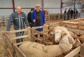 Lannemezan. Les &eacute;leveurs veulent conserver leur march&eacute; - La D&eacute;p&ecirc;che | Vall&eacute;es d'Aure & Louron - Pyr&eacute;n&eacute;es | Scoop.it