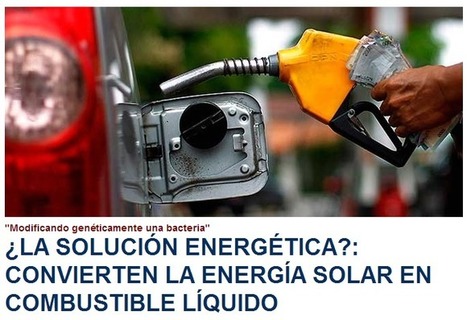 SOLUCIÓN ENERGÉTICA? "Modificando genéticamente una bacteria" convierten la ENERGÍA SOLAR en COMBUSTIBLE LÍQUIDO | PIENSA en VERDE | Scoop.it