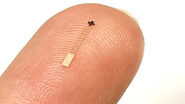 New high-fidelity brain-computer interface is so small it can fit between hair follicles | Brain Computer Interfaces & connected medical devices | Scoop.it