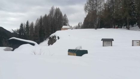 Quels enjeux pour les stations 4 saisons ? | Les evolutions de l'offre touristique | Scoop.it