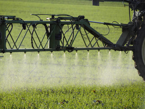 Une nouvelle fiche synthèse pour connaître les effets potentiels des pesticides agricoles | IRSST | Prévention du risque chimique | Scoop.it