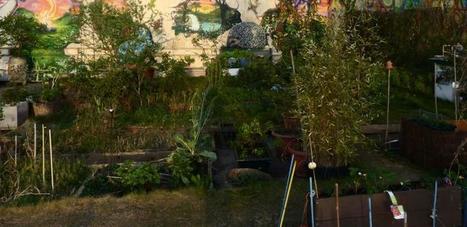 Agriculture urbaine : Des cultures productives qui retiennent l’eau | ESPACES VEGETALISES URBAINS | Scoop.it