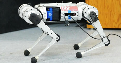 This Cheetah Robot Taught Itself How to Sprint in a Weird Way | Imagine Online International Education | Scoop.it