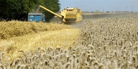Pour les agriculteurs, ressemer sa propre récolte sera interdit ou taxé | News from the world - nouvelles du monde | Scoop.it