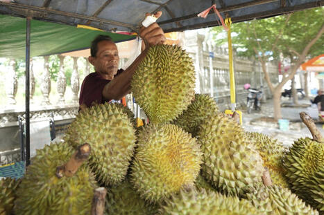 CHINA: Rewriting world's agriculture trade rules | ASIES | Scoop.it
