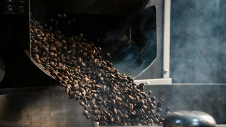 [INP-Purpan] Les cafés gersois Di Constanzo en lice pour le concours du meilleur expresso | Que sont-ils devenus ? | Scoop.it