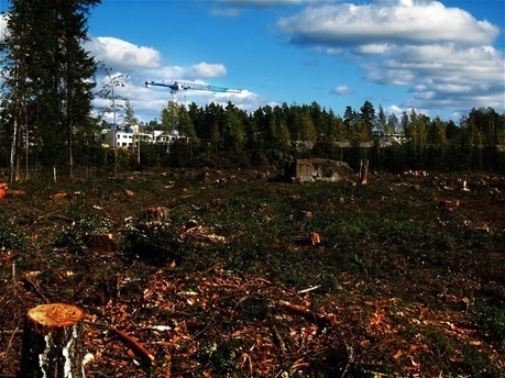 « La crise du coronavirus est une crise écologique » Humanité et Biodiversité | COVID-19 : Le Jour d'après et la biodiversité | Scoop.it