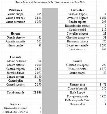 Camargue : Dénombrement des oiseaux de la Réserve en novembre 2012 | Camargue Nature | Scoop.it