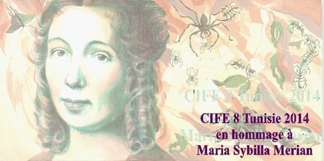 Hommage de la 8e CIFE à Maria Sibylla Merian | Insect Archive | Scoop.it