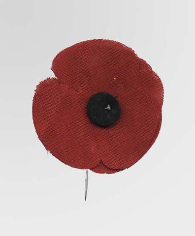 Remembrance Day - Why Canadians wear a Poppy | iGeneration - 21st Century Education (Pedagogy & Digital Innovation) | Scoop.it