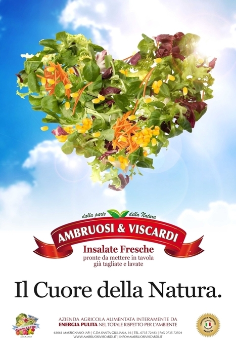 Fresh GREEN Salads from Le Marche: Ambruosi e Viscardi, Massignano | Good Things From Italy - Le Cose Buone d'Italia | Scoop.it