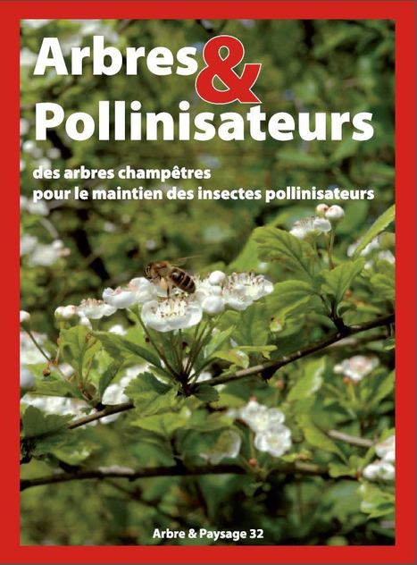 Des arbres champêtres pour le maintien des insectes pollinisateurs | Variétés entomologiques | Scoop.it