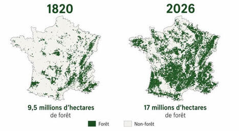 La surface des for&ecirc;ts fran&ccedil;aises a doubl&eacute; en 200 ans. La France est d&eacute;sormais la 4e plus grande for&ecirc;t d'Europe. On est pass&eacute; de 9,5 millions d'hectares en 1830 &agrave; 17 millions aujourd'hui. Ce q... | Nancy, Lorraine | Scoop.it
