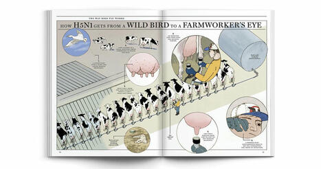 We Aren’t Prepared for Bird Flu to Become the Next Pandemic | Notebook or My Personal Learning Network | Scoop.it