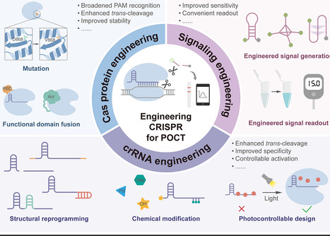 Engineering CRISPR for Point-of-Care Tests | acs | RMH | Scoop.it