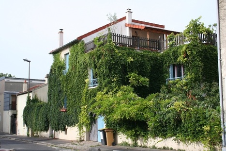 Rencontre "Végétaliser le bâti en Île-de-France Quels principes pour la biodiversité ?" | Biodiversité | Scoop.it