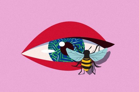 Les cerveaux d'insectes vont permettre de cr&eacute;er des robots intelligents | EntomoNews | Scoop.it
