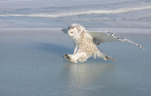 Sorry! Image not available at this time