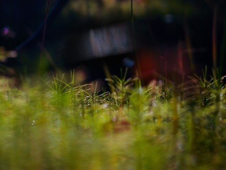 Robin Hood Coop funds 3 commons building projects | P2P Foundation | Peer2Politics | Scoop.it