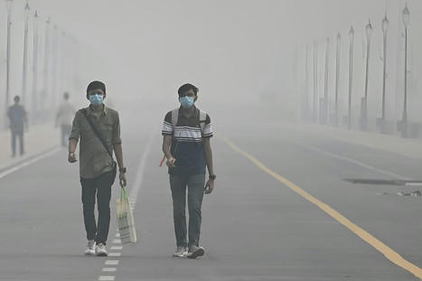 Heat, disease, air pollution: How climate change impacts health | Agents of Behemoth | Scoop.it