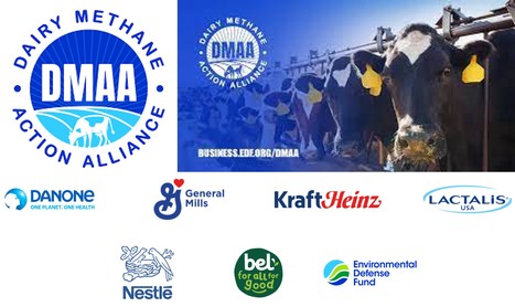 COP 28 : Les entreprises laitières annoncent une alliance pour réduire le méthane | Lait de Normandie... et d'ailleurs | Scoop.it