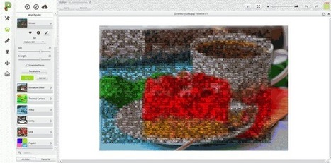 Picadilo, un potente y gratuito editor de fotografías | TIC & Educación | Scoop.it
