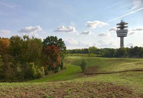 La nature reprend son droit sur le plateau d'Andilly | PAYSAGE ET TERRITOIRES | Scoop.it