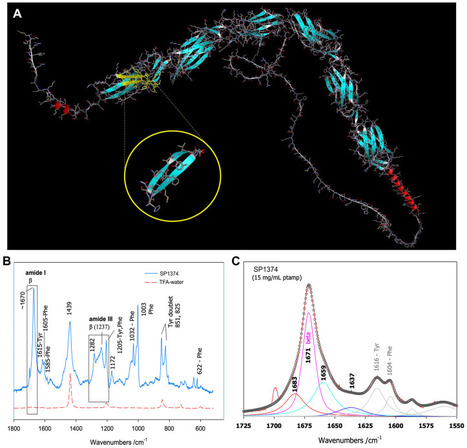 Camouflaging endovascular stents with an endothelial coat using CD31 domain 1 and 2 mimetic peptides | Critical Limb-Threatening Ischemia (CLTI) | Scoop.it