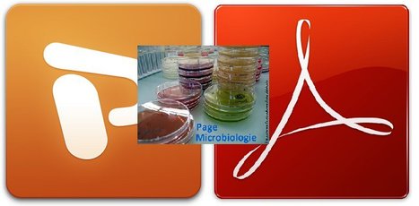 Pr&eacute;sentation (*.pps; *.pdf) | Microbiologie | Scoop.it