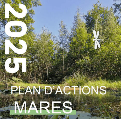 Le Plan d’Actions Mares est lancé : un cap national pour les mares à l’horizon 2030 | Biodiversité | Scoop.it