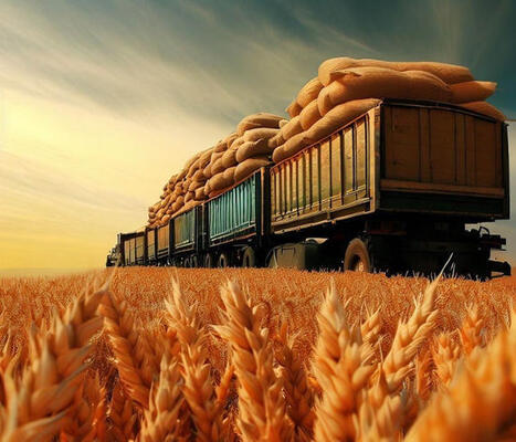 TUNISIE : produire plus, importer moins, la souverainet&eacute; c&eacute;r&eacute;ali&egrave;re est-elle toujours possible ? | CIHEAM Press Review | Scoop.it